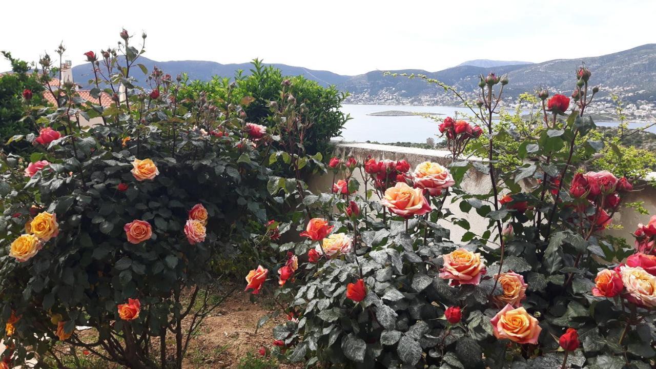 Georgia'S Holiday Apartment With Amazing Sea View Porto Rafti Exterior photo